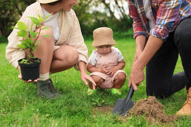Photo of Family planting young tree together in garden, closeup