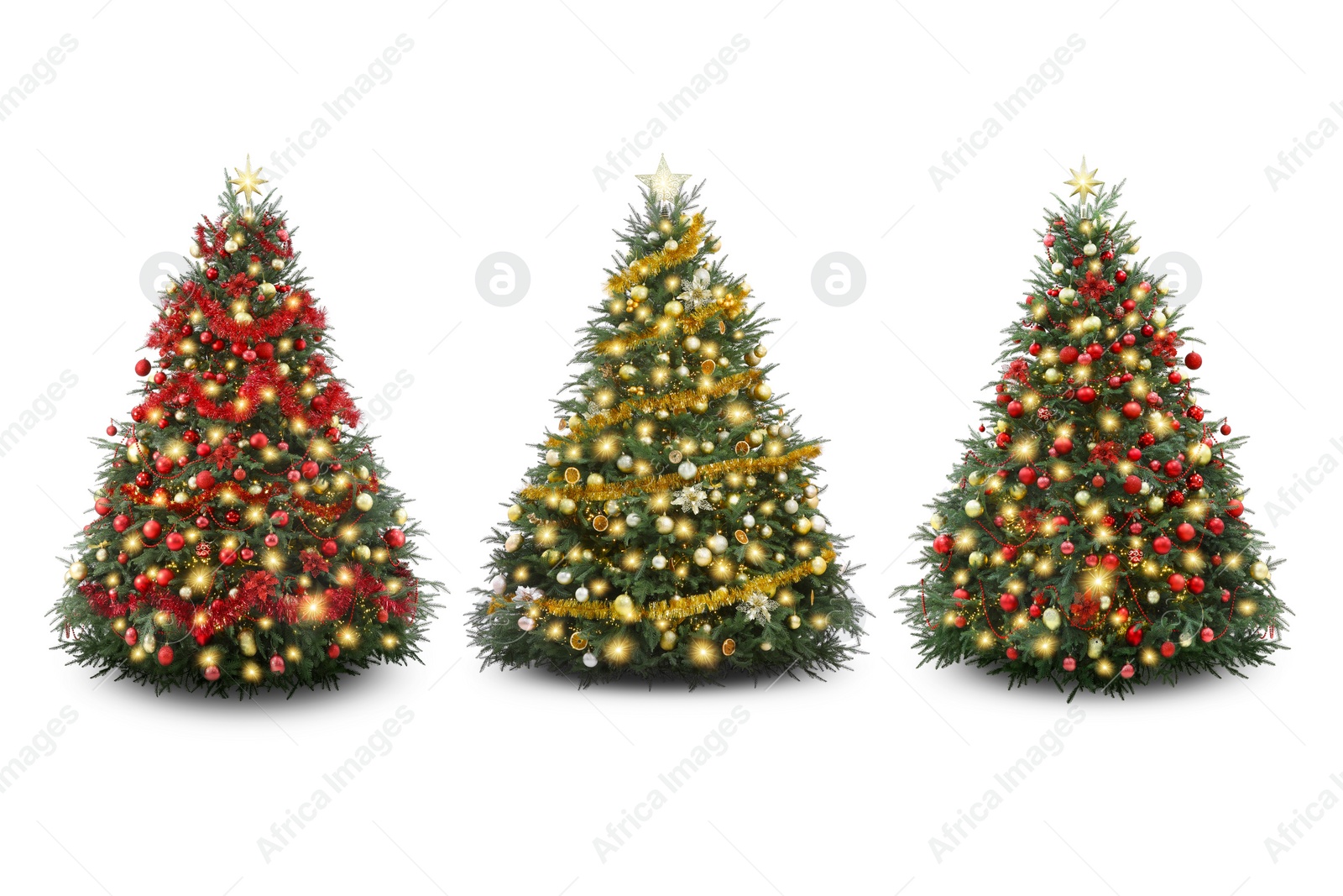 Image of Christmas trees decorated with ornaments and festive lights isolated on white, set