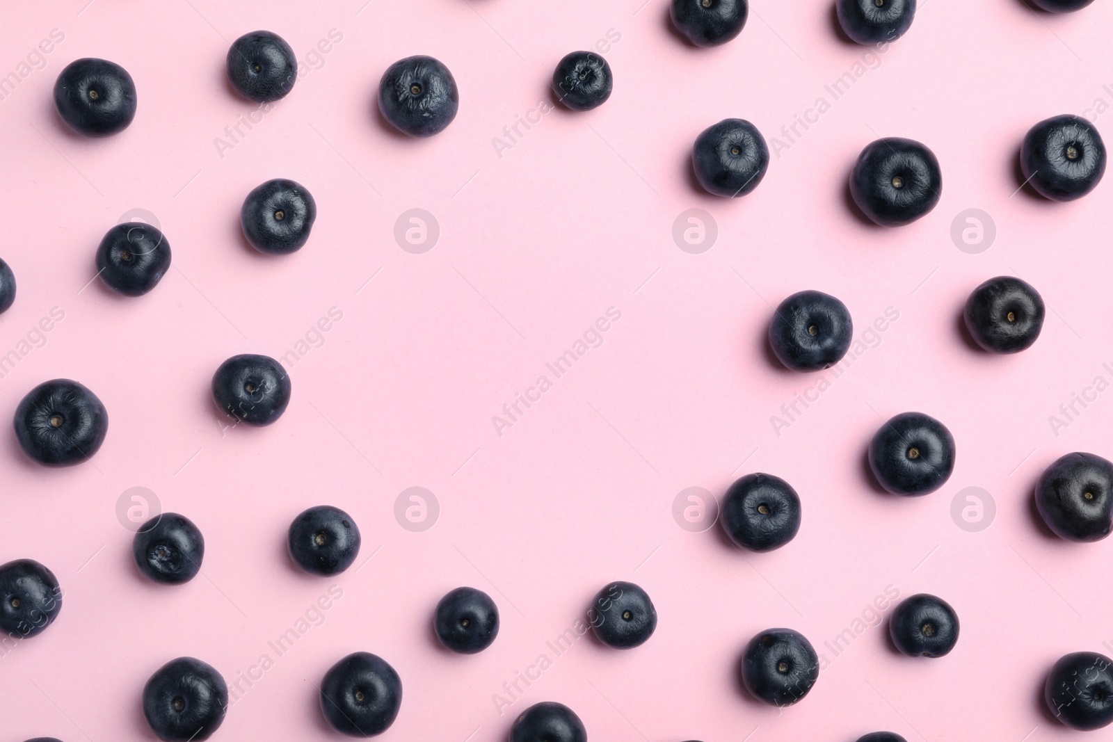 Photo of Fresh acai berries on pink background, flat lay. Space for text