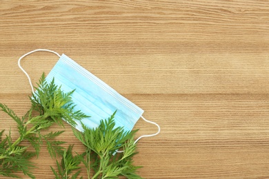 Photo of Flat lay composition with ragweed plant (Ambrosia genus) on wooden background, space for text. Seasonal allergy