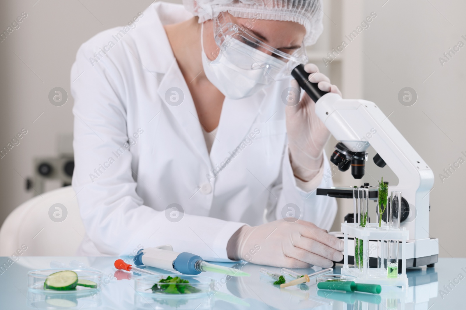 Photo of Quality control. Food inspector checking safety of products in laboratory