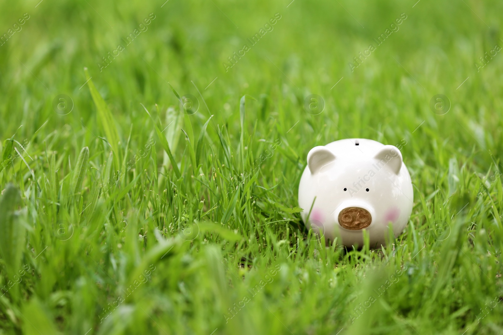 Photo of Cute piggy bank in green grass outdoors. Space for text