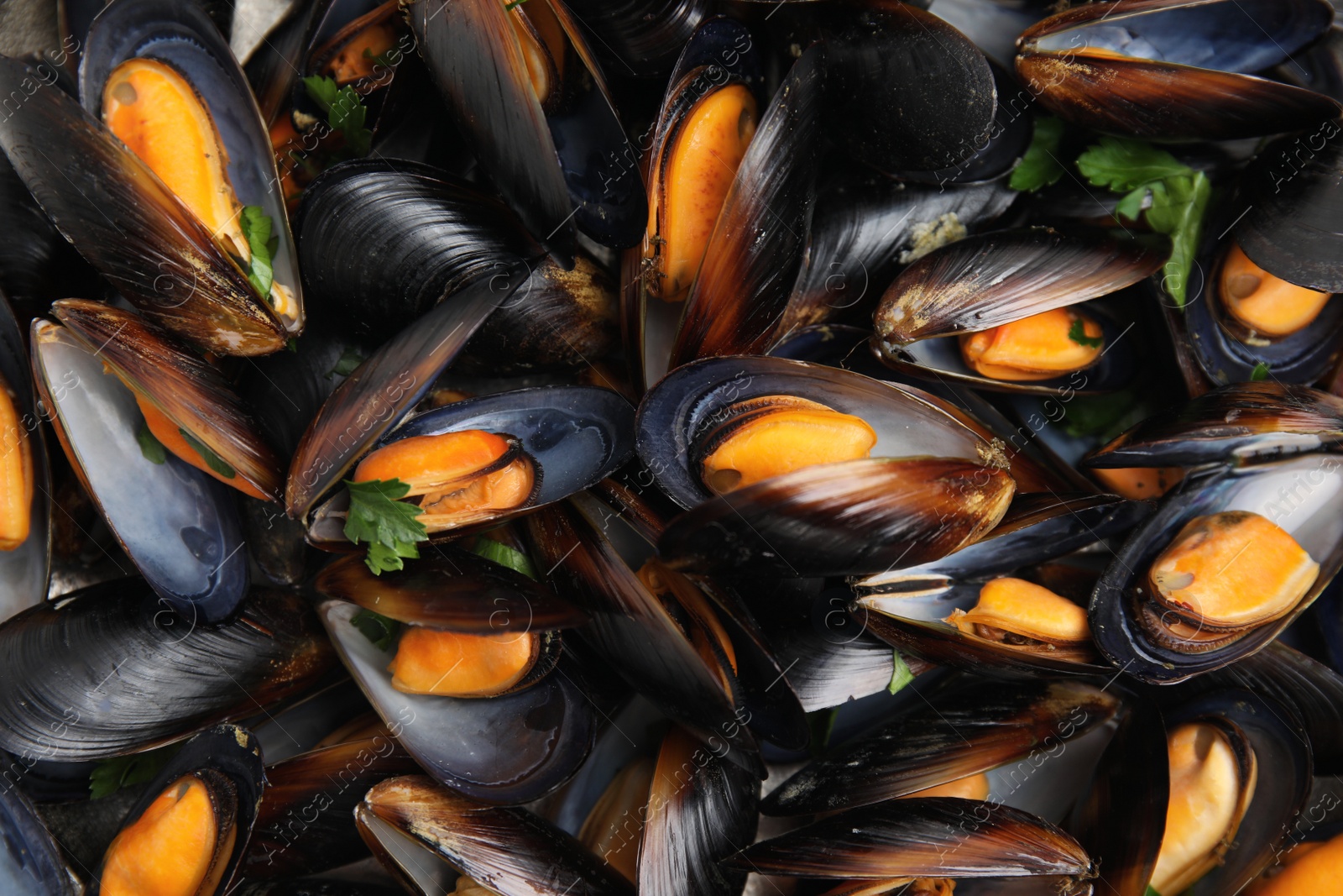 Photo of Delicious cooked mussels with parsley as background, closeup