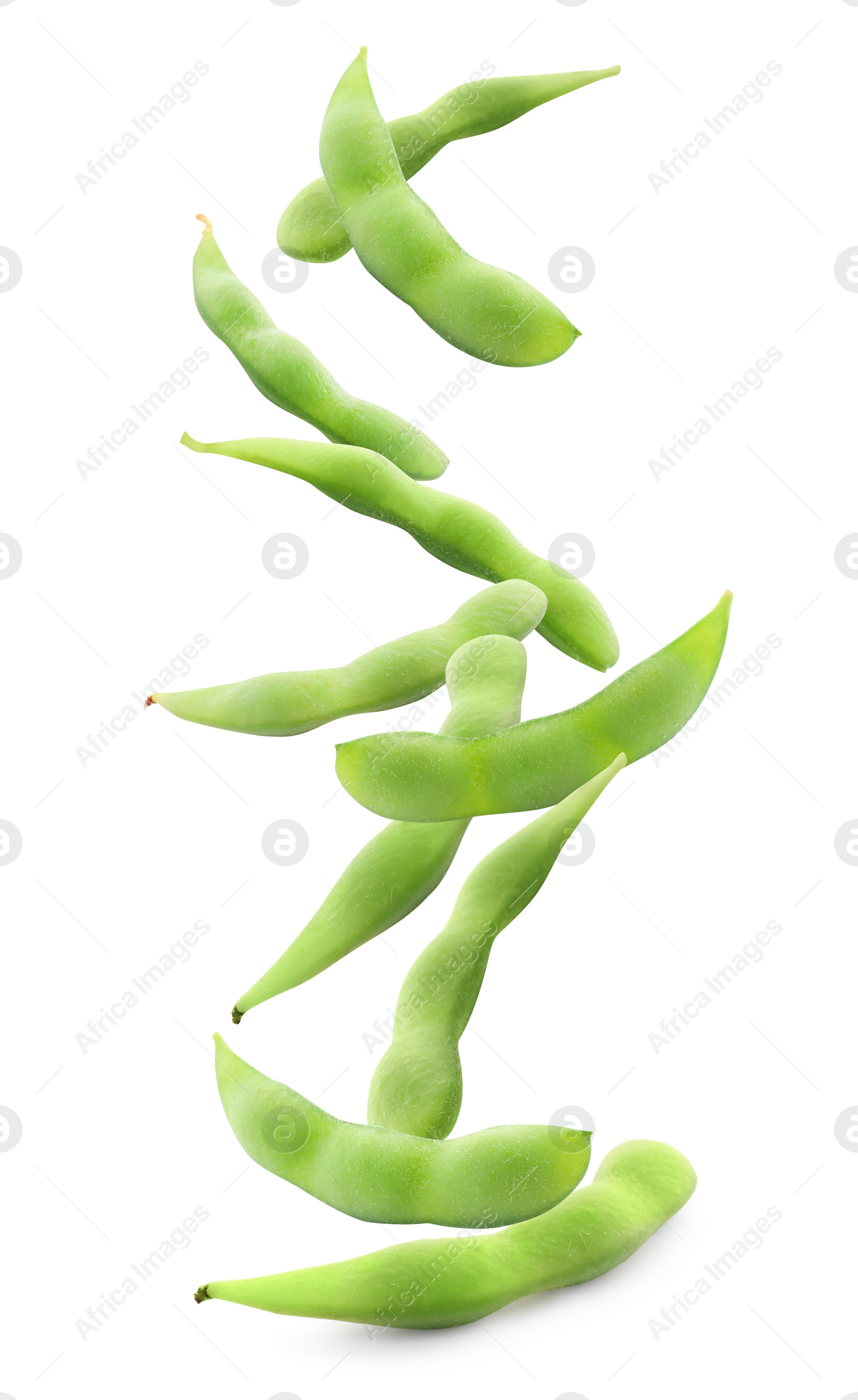 Image of Many green edamame pods falling on white background