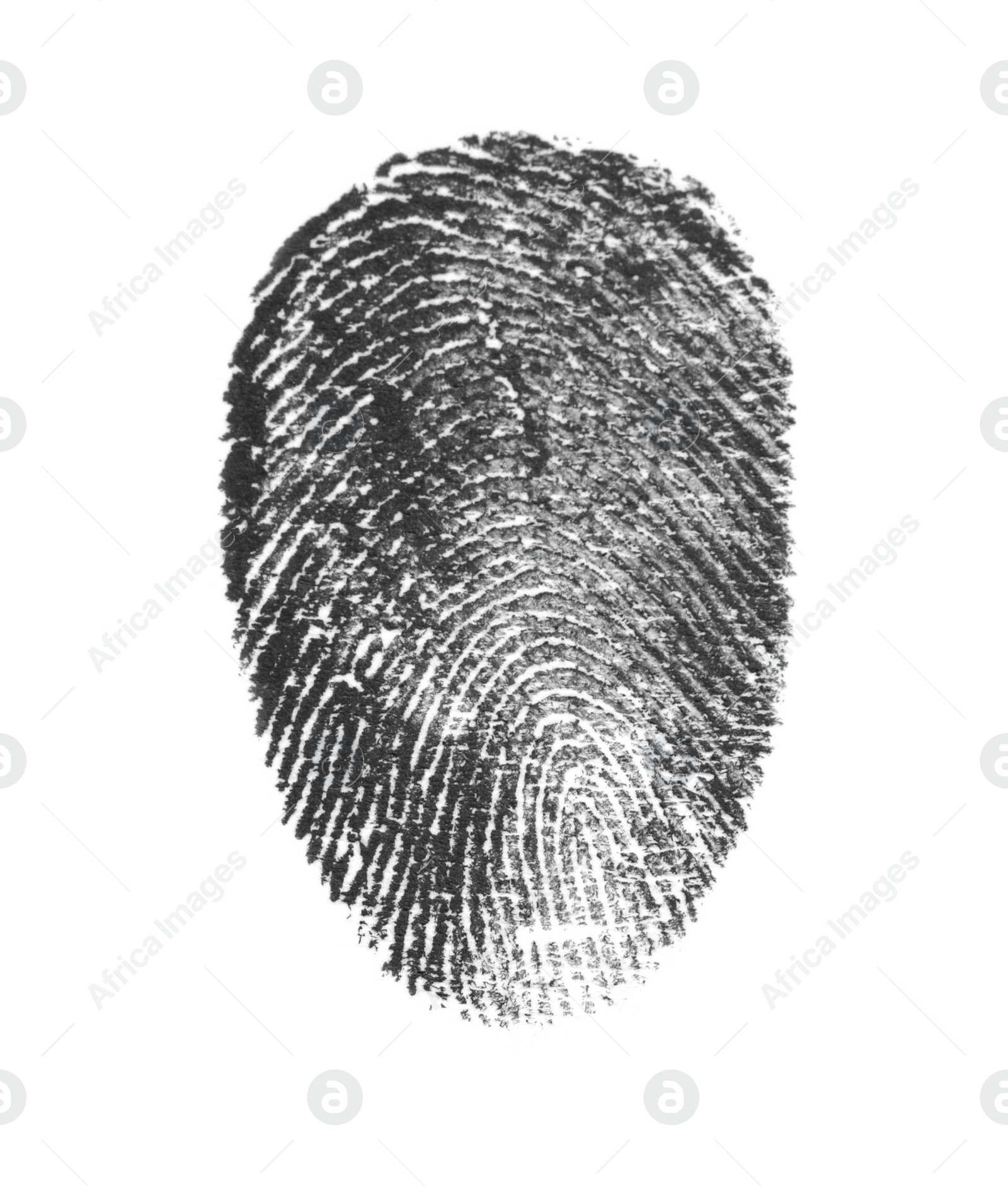 Photo of Black fingerprint made with ink on white background