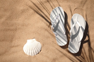 Photo of Flip flops and shell on sandy sea shore, top view with space for text. Beach accessory