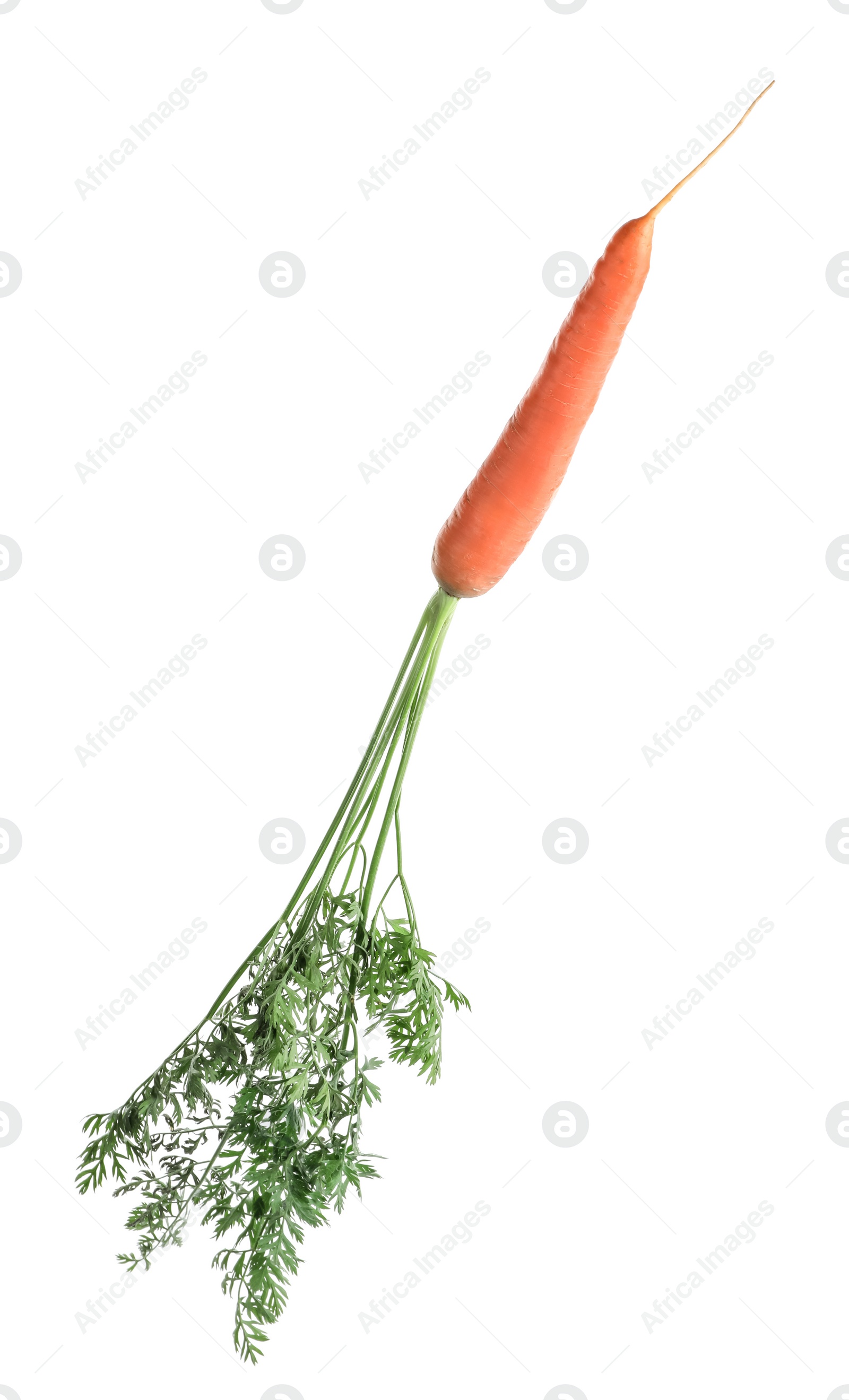 Photo of Tasty ripe organic carrot isolated on white