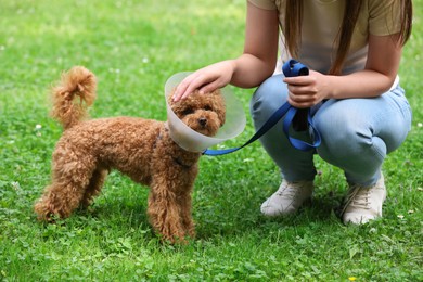 Woman petting her cute Maltipoo dog in Elizabethan collar outdoors, closeup