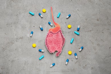 Paper cutout of small intestine and pills on light grey background, flat lay