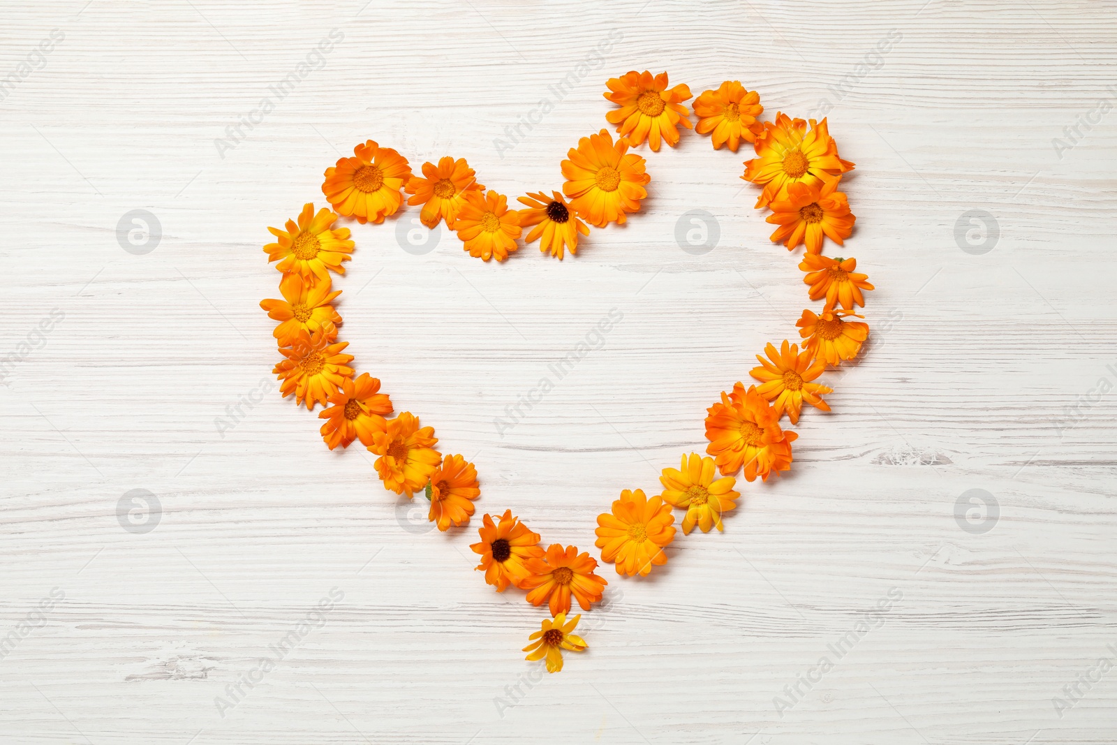 Photo of Heart of beautiful calendula flowers on white wooden table, top view