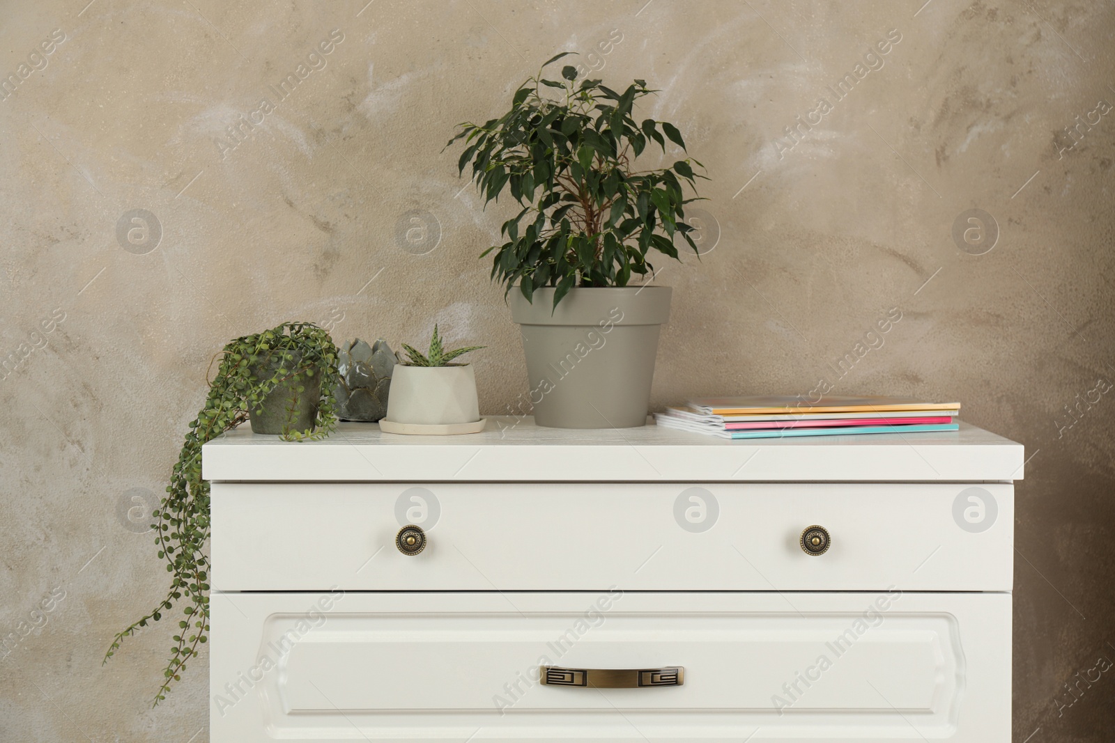 Photo of Modern chest of drawers with houseplants near beige wall