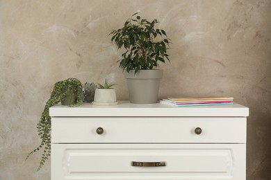 Modern chest of drawers with houseplants near beige wall