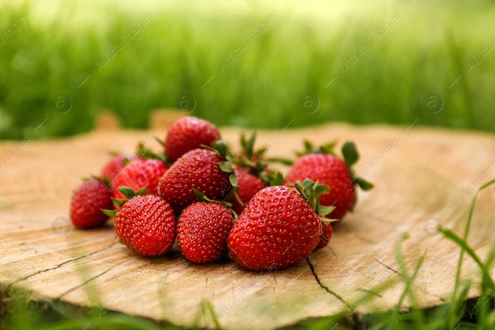 Photo of Pile of delicious ripe strawberries on tree stump outdoors, closeup