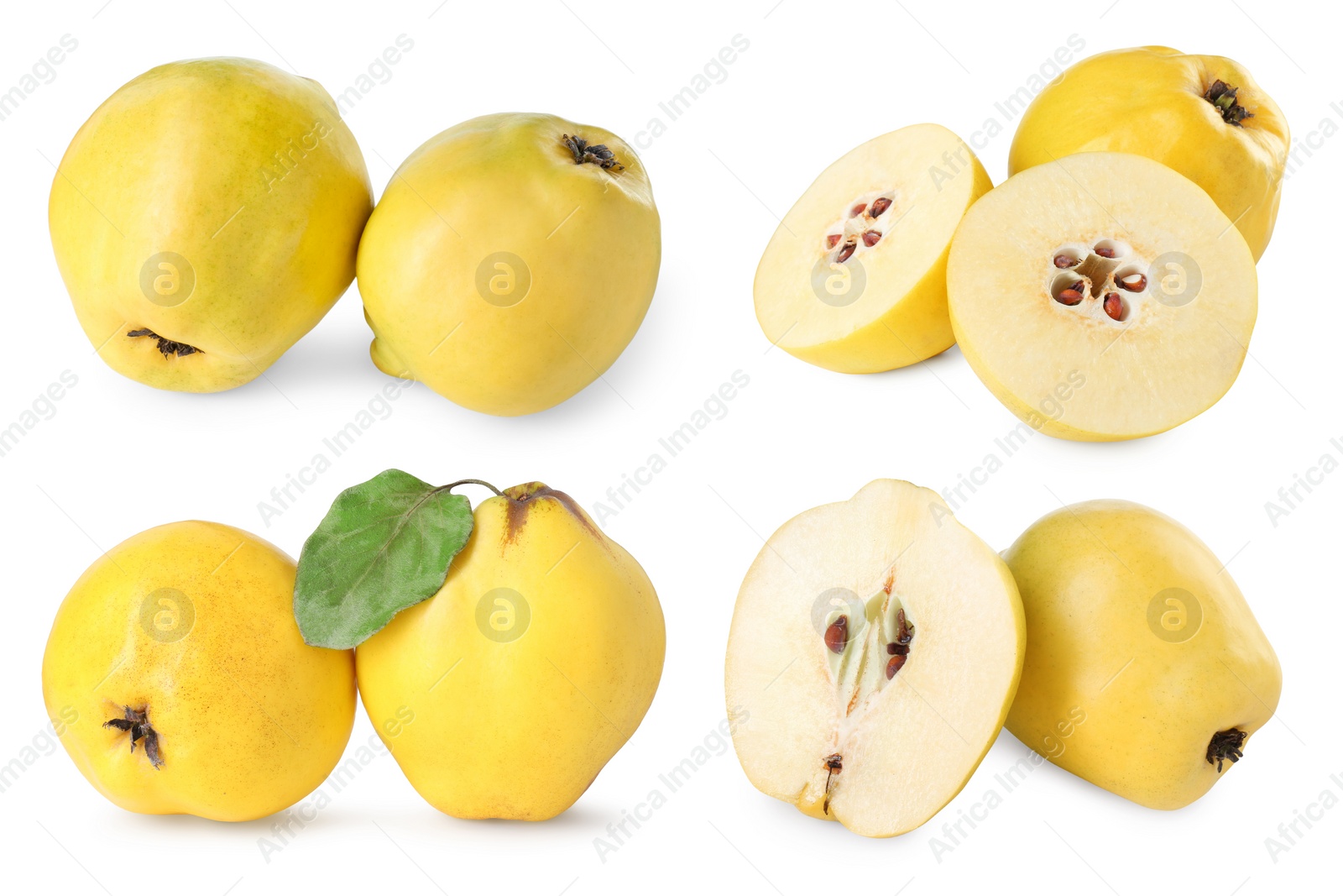 Image of Fresh ripe quince fruits isolated on white, set