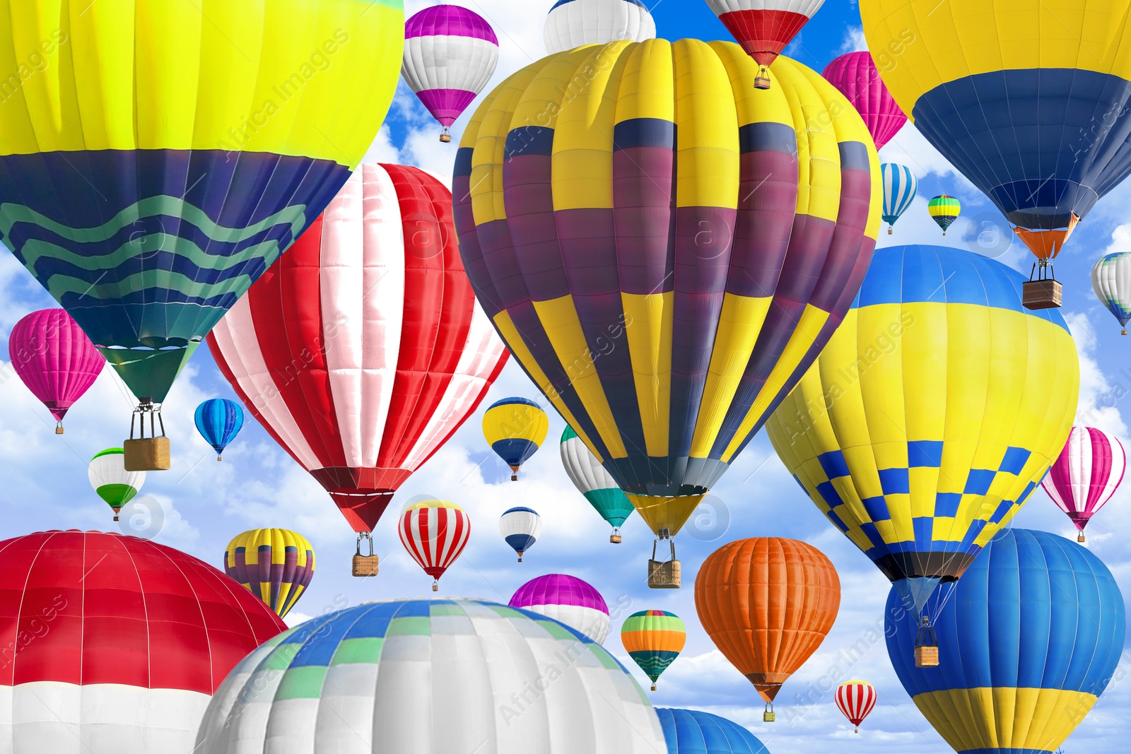 Image of Many bright hot air balloons flying in sky