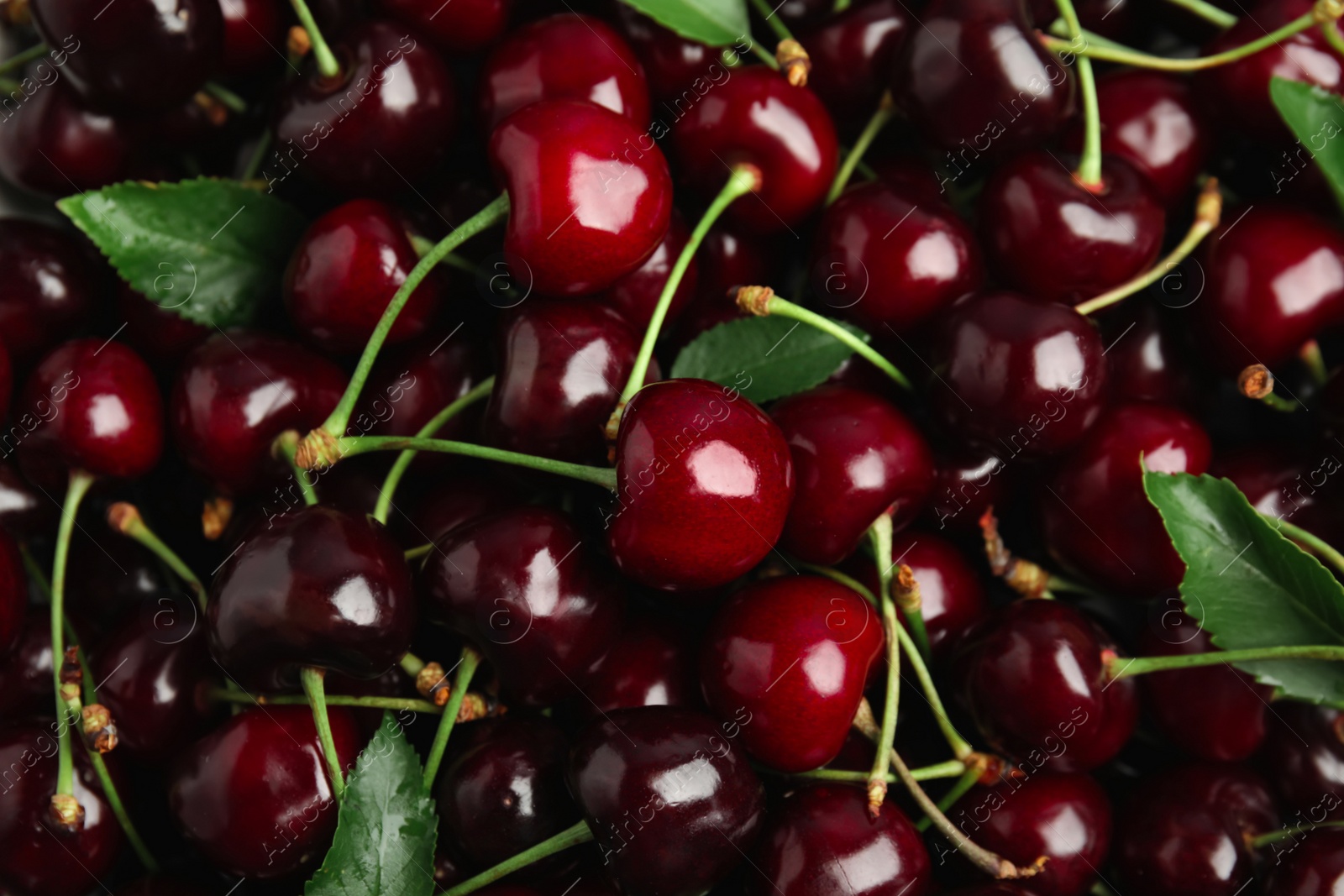 Photo of Sweet red cherries as background