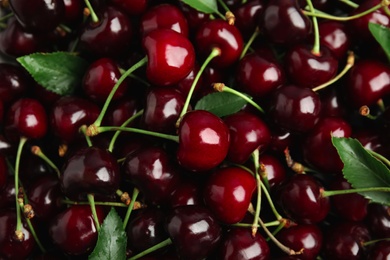 Sweet red cherries as background