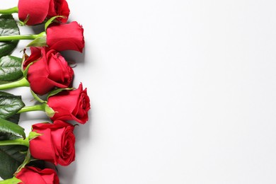 Beautiful red roses on white background, top view. Space for text