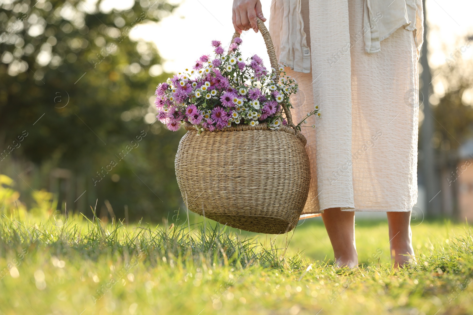 Photo of Woman holding wicker basket with beautiful wild flowers outdoors, closeup