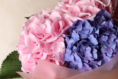 Bouquet with beautiful hortensia flowers on beige background, closeup