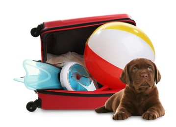 Image of Cute dog and bright suitcase packed for journey on white background. Travelling with pet