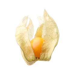 Ripe physalis fruit with calyx isolated on white