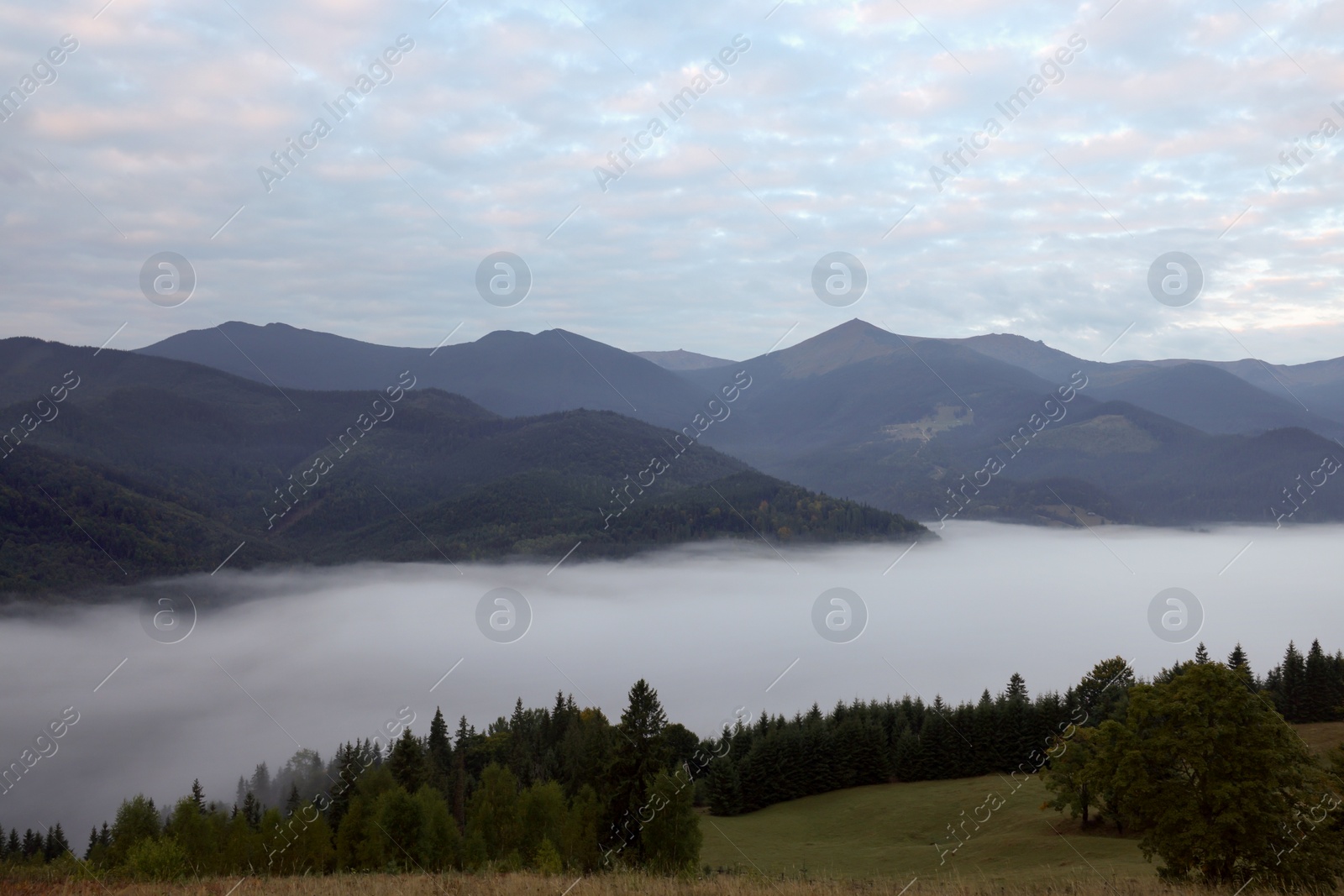 Photo of Picturesque view of mountains and forest covered with fog