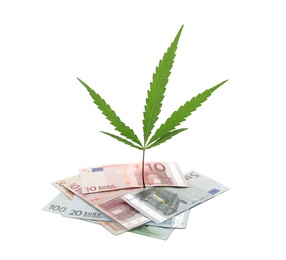 Photo of Hemp leaf and pile of money on white background