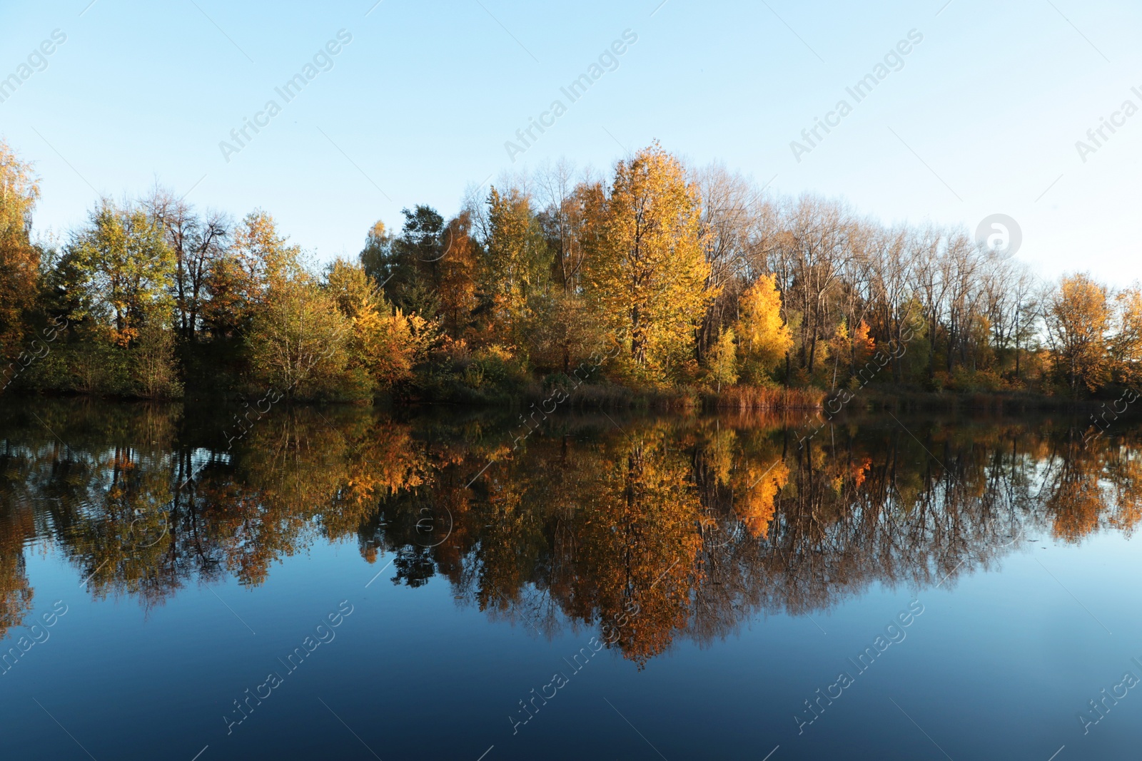Photo of Picturesque view of lake and trees on autumn day