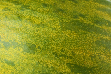 Photo of Texture of fresh ripe melon peel, closeup view