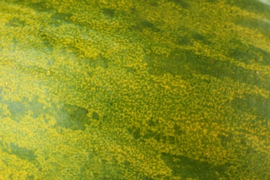 Texture of fresh ripe melon peel, closeup view