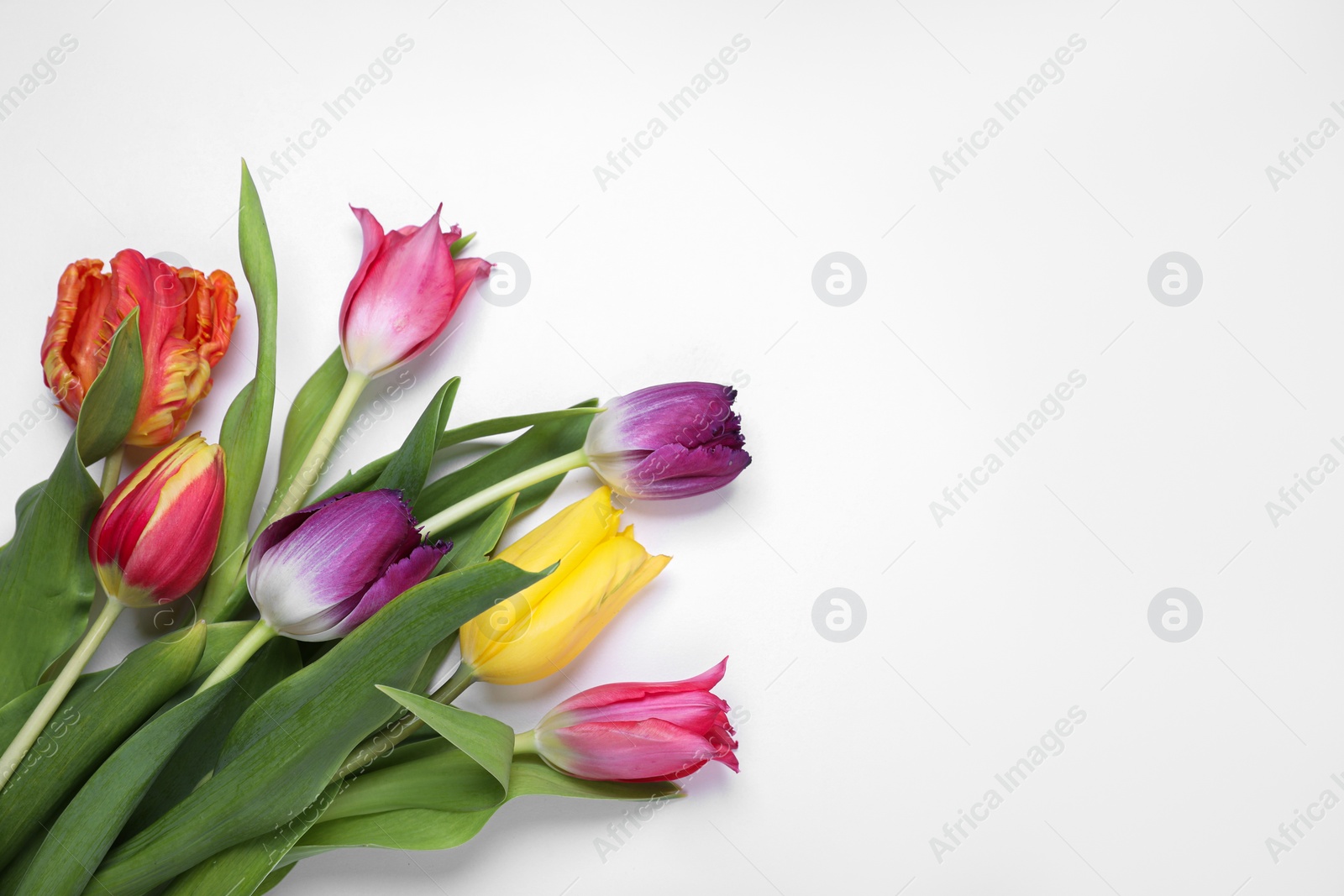 Photo of Beautiful colorful tulip flowers on white background, flat lay. Space for text