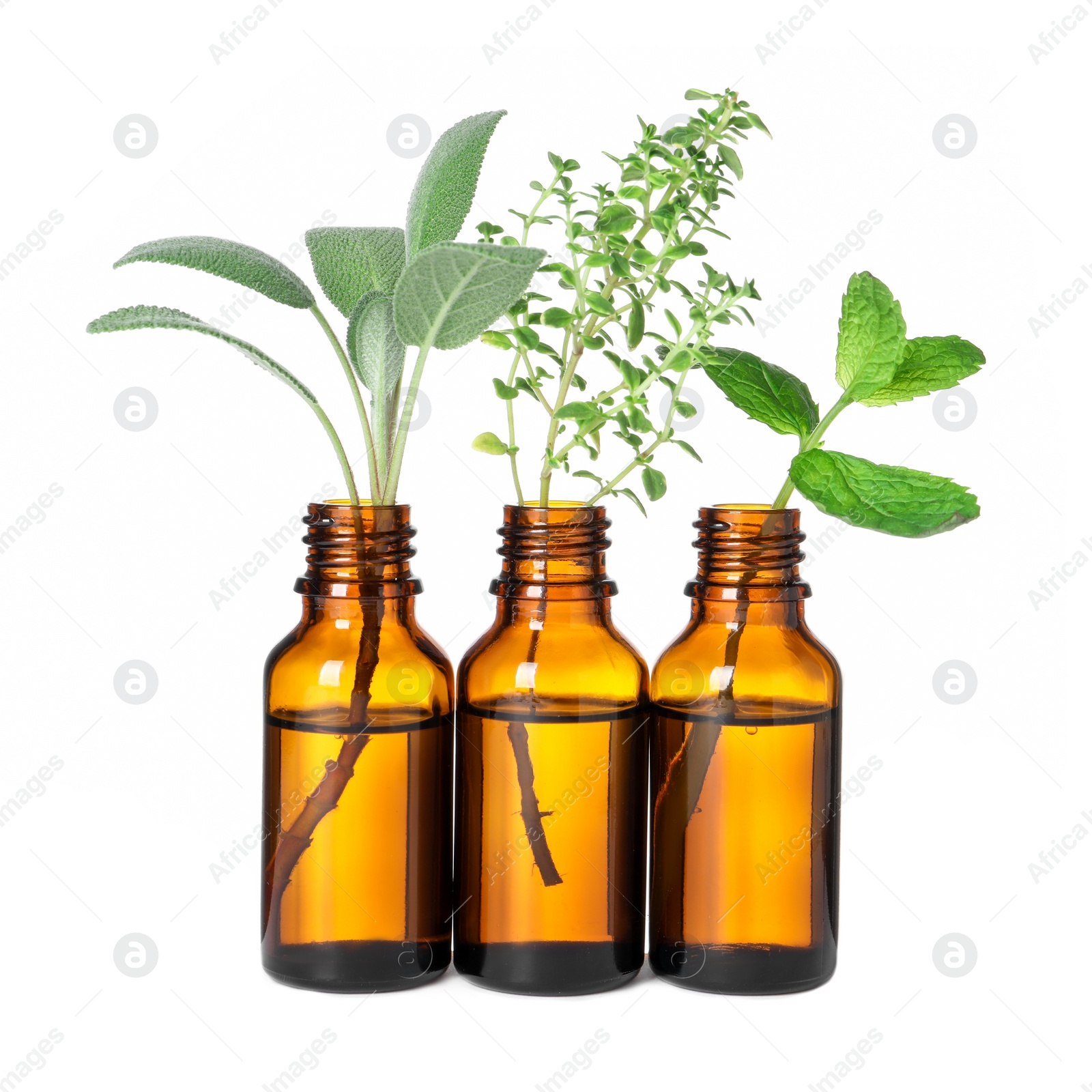 Photo of Bottles with essential oils and plants isolated on white