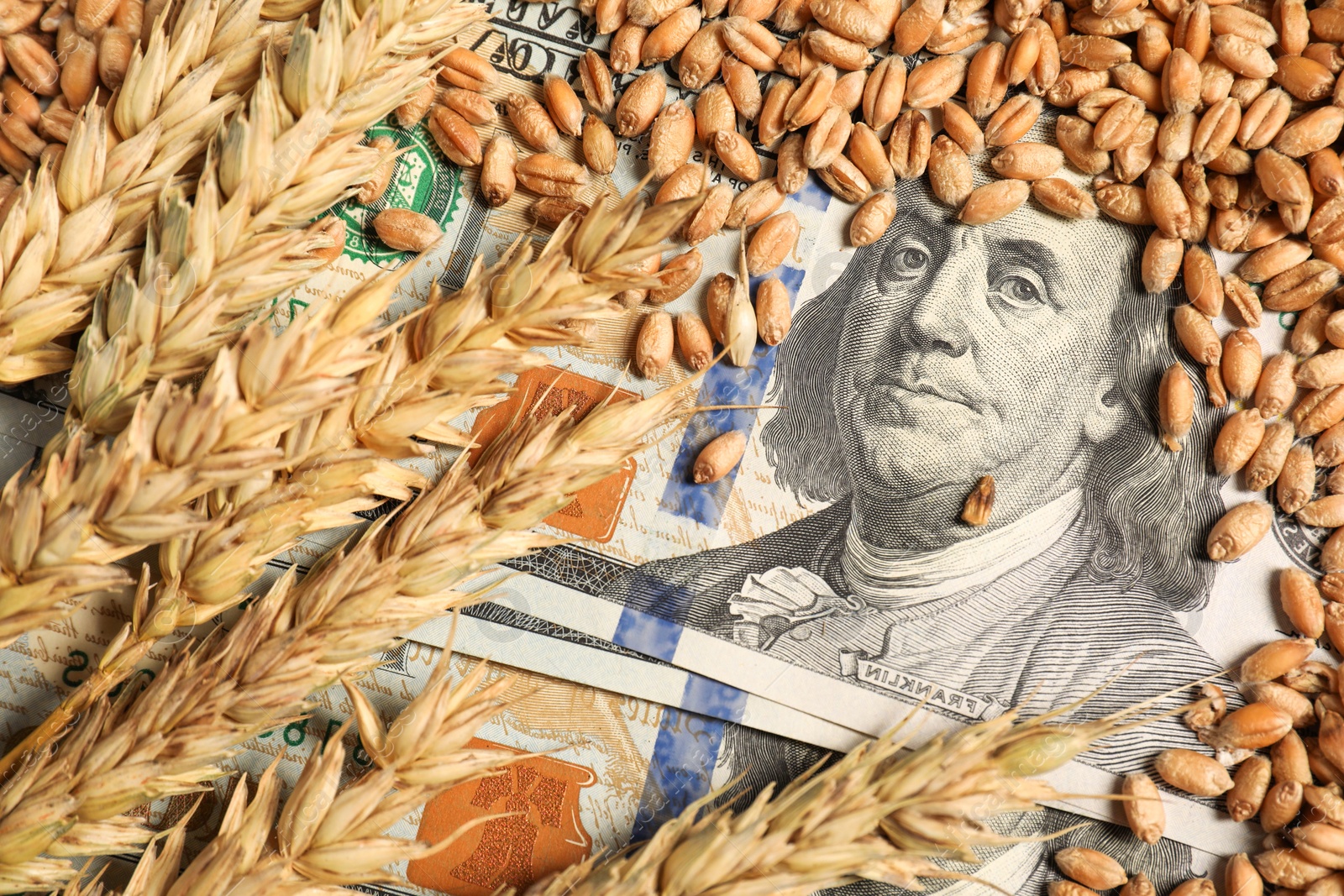 Photo of Dollar banknotes, wheat ears and grains, closeup. Agricultural business