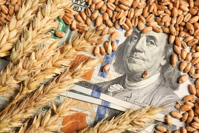 Photo of Dollar banknotes, wheat ears and grains, closeup. Agricultural business