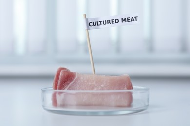 Photo of Petri dish with sample of lab grown pork labeled Cultured Meat on white table in laboratory