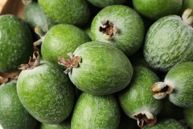 Fresh green feijoa fruits, closeup view. Exotic plant