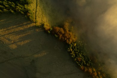 Image of Aerial view of house near forest with morning fog in countryside. Drone photography