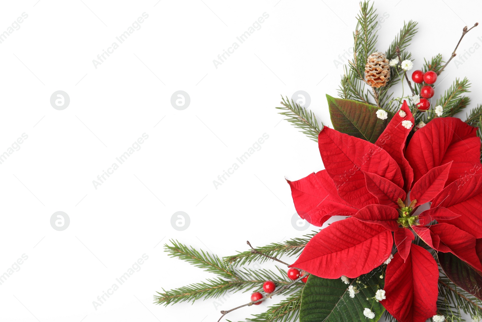 Photo of Flat lay composition with beautiful poinsettia on white background, space for text. Christmas traditional flower