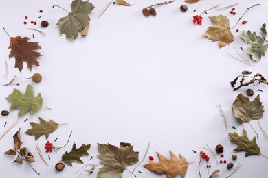 Photo of Frame of autumn leaves, berries, cones and chestnuts on white background, flat lay. Space for text