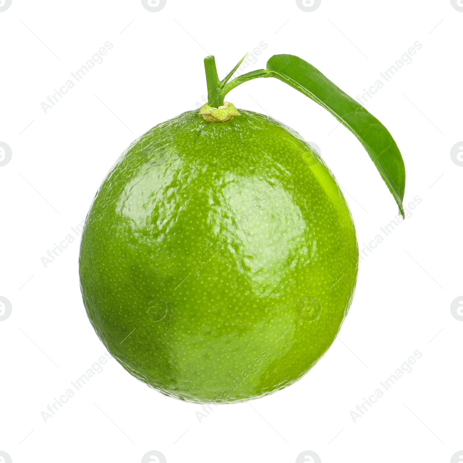 Photo of Fresh green ripe lime with leaf isolated on white