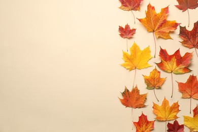 Photo of Autumn season. Colorful maple leaves on beige background, flat lay with space for text