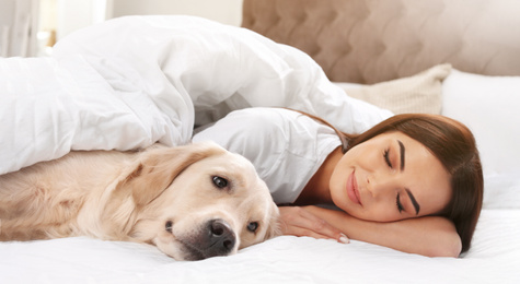 Image of Young woman and her Golden Retriever on bed at home, banner design. Lovely pet