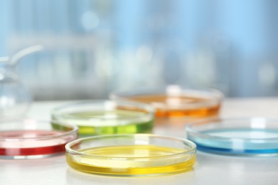 Petri dishes with liquid samples on table. Laboratory analysis