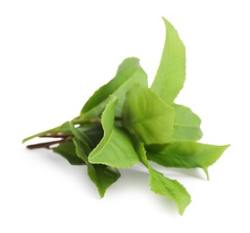 Photo of Fresh green tea leaves isolated on white