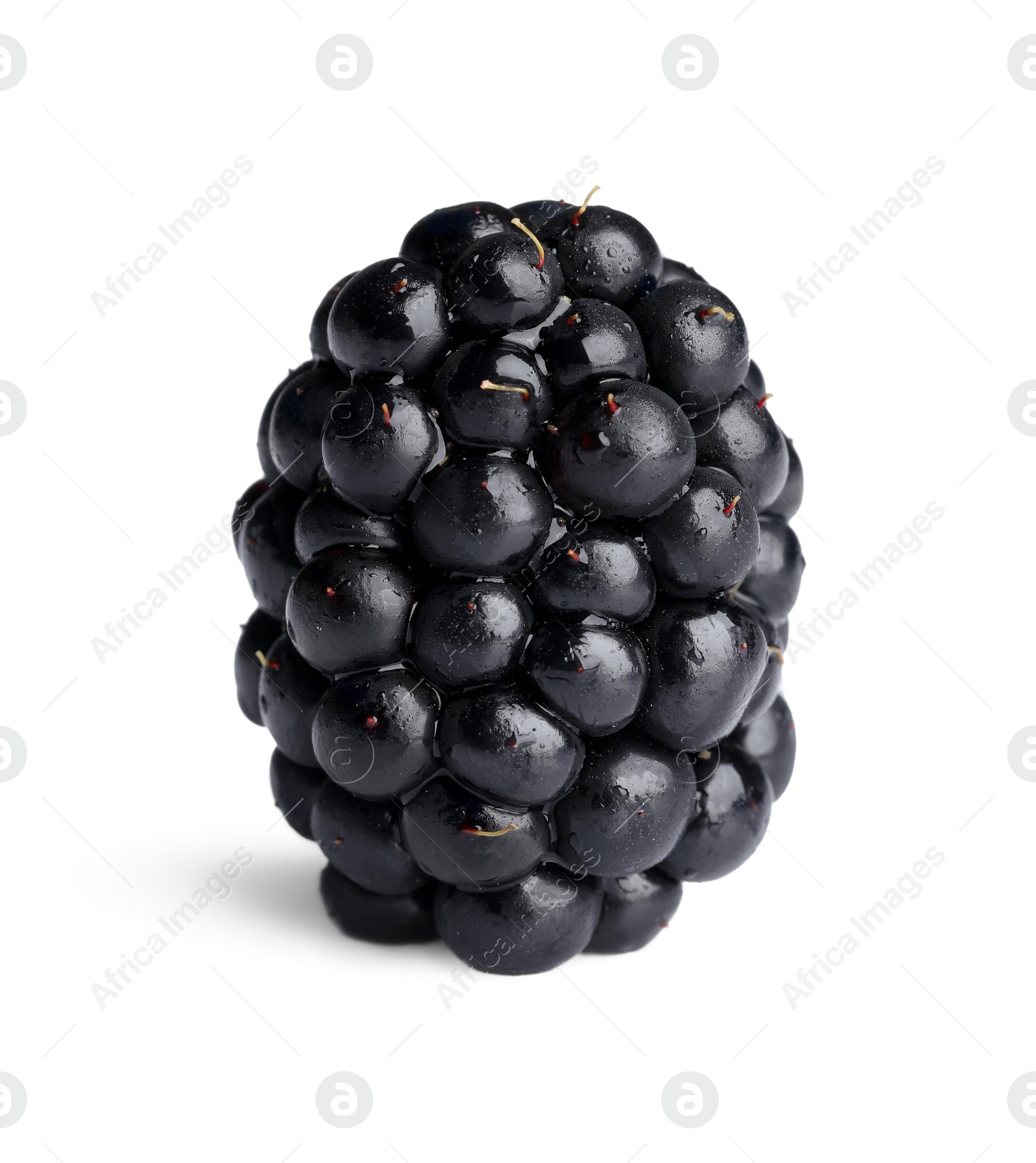 Photo of One tasty ripe blackberry isolated on white