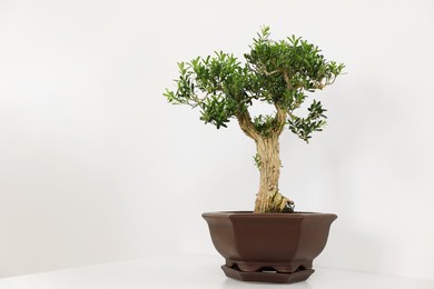 Photo of Beautiful bonsai tree in pot on table against light wall, space for text