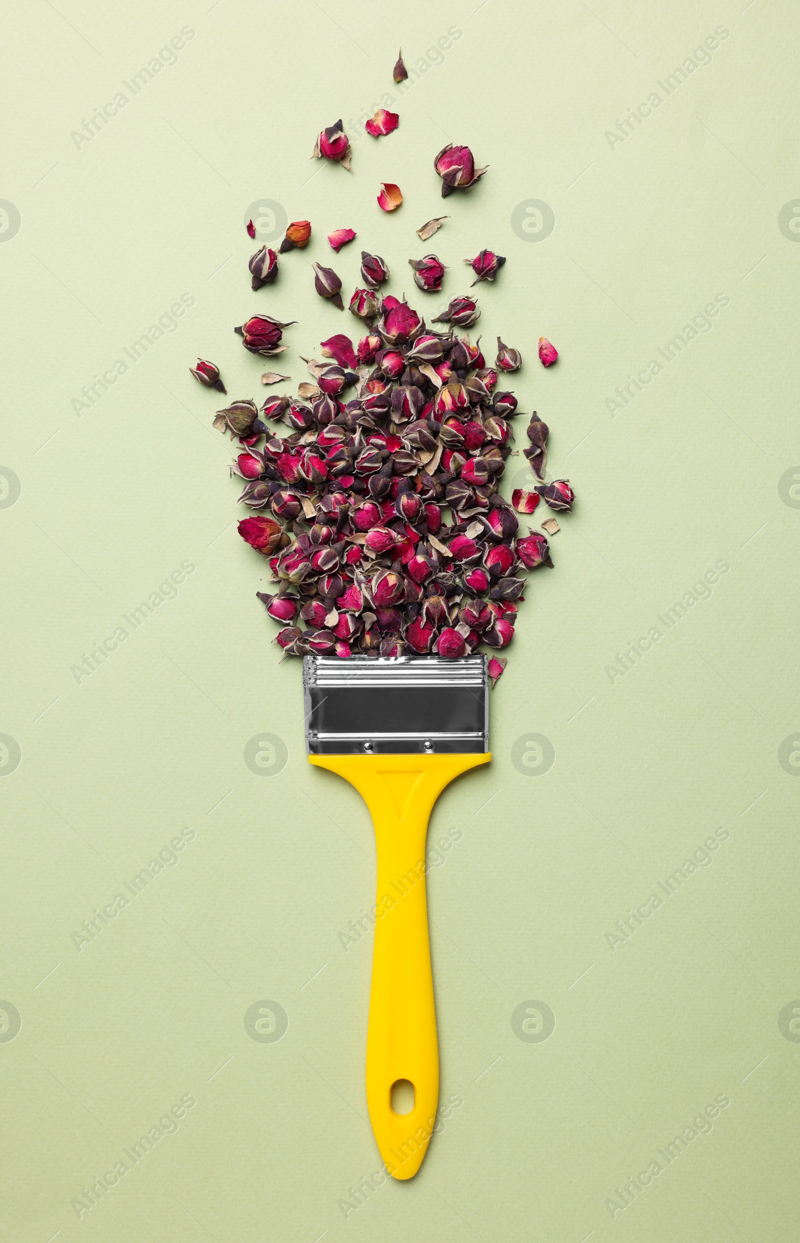 Photo of Creative flat lay composition with paint brush and dried rose buds on light green background