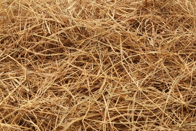 Photo of Dried grass hay as background, closeup view