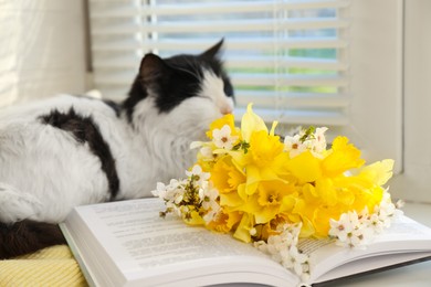 Photo of Beautiful bouquet of yellow daffodils, book and fluffy cat near window